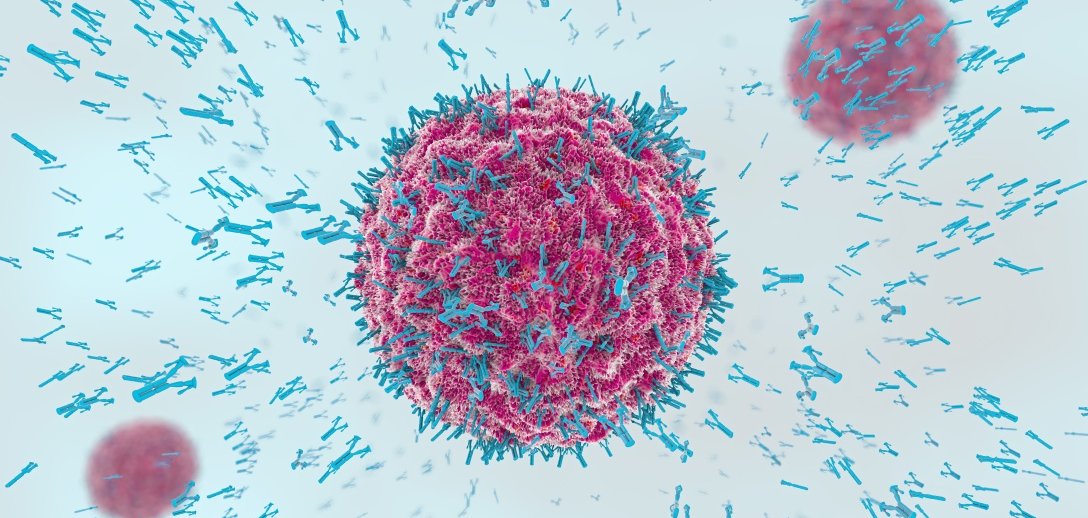 Co się dzieje, kiedy układ odpornościowy traci pamięć?