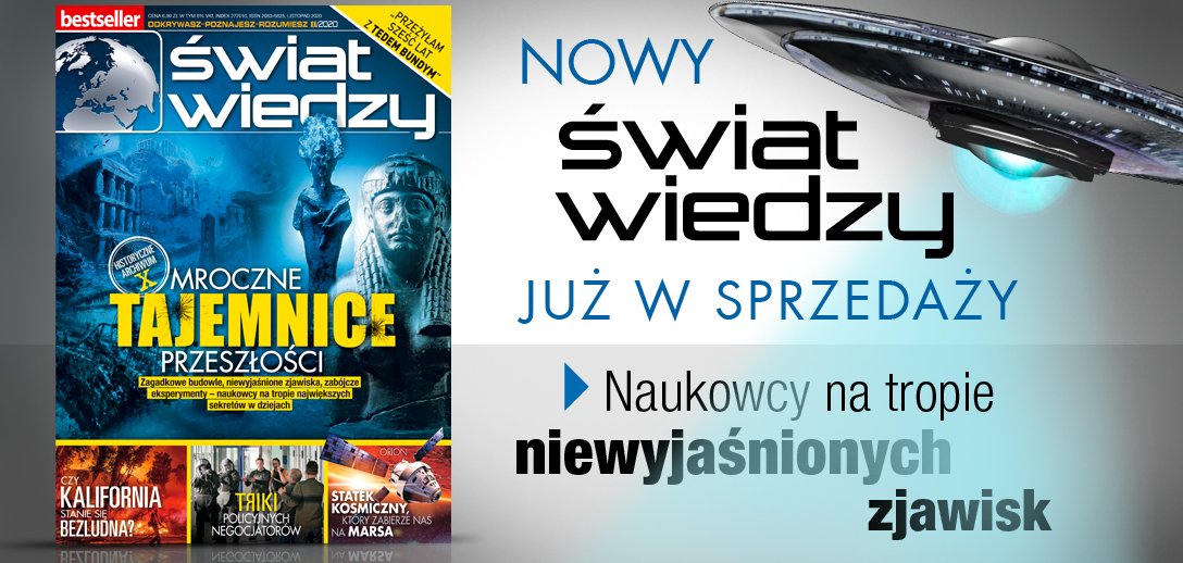 Świat Wiedzy 11/2020