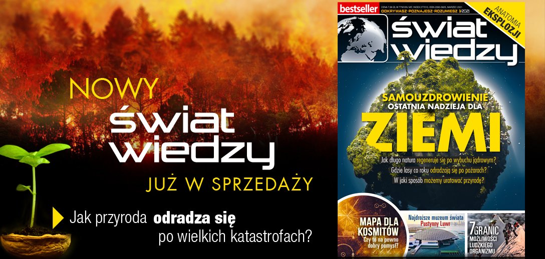 Świat Wiedzy 3/2021