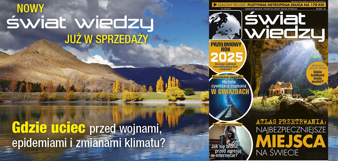 Świat Wiedzy 11/2022