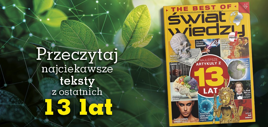 The Best of Świat Wiedzy 4/2024