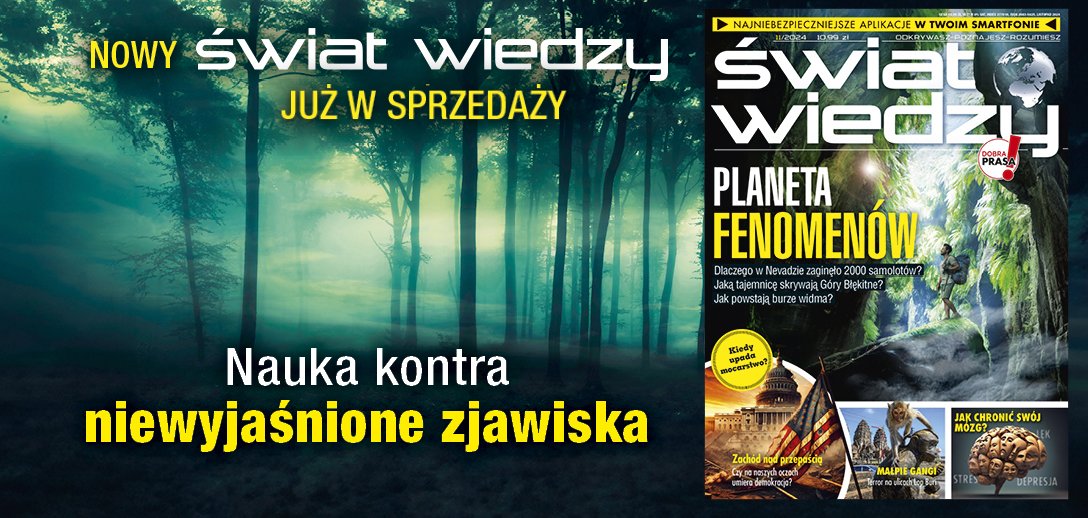 Świat Wiedzy 11/2024